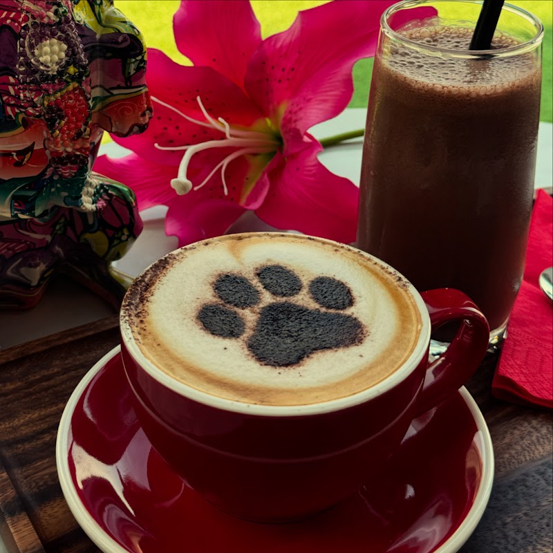 Cafe Paws & Beans