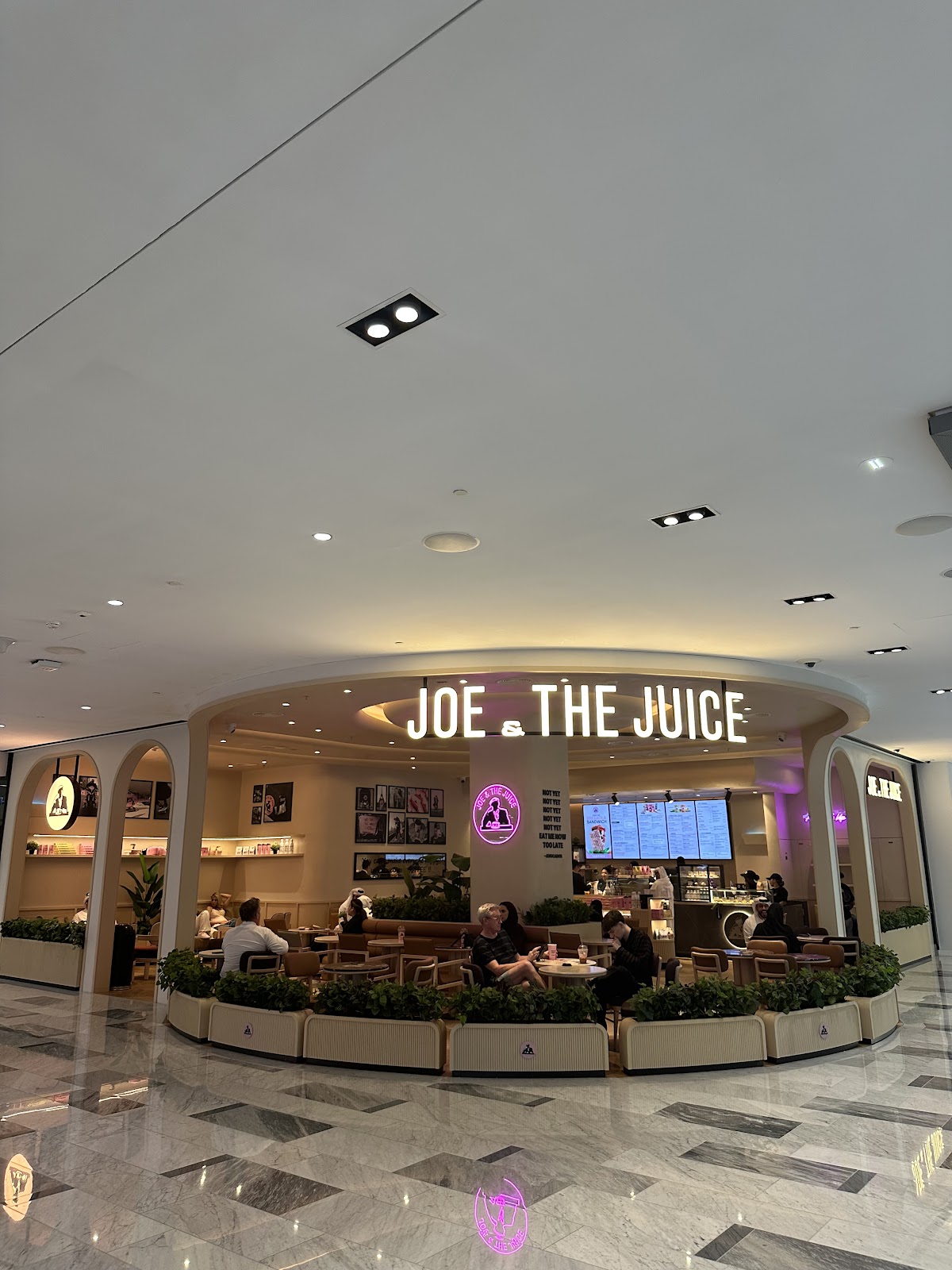 JOE & THE JUICE