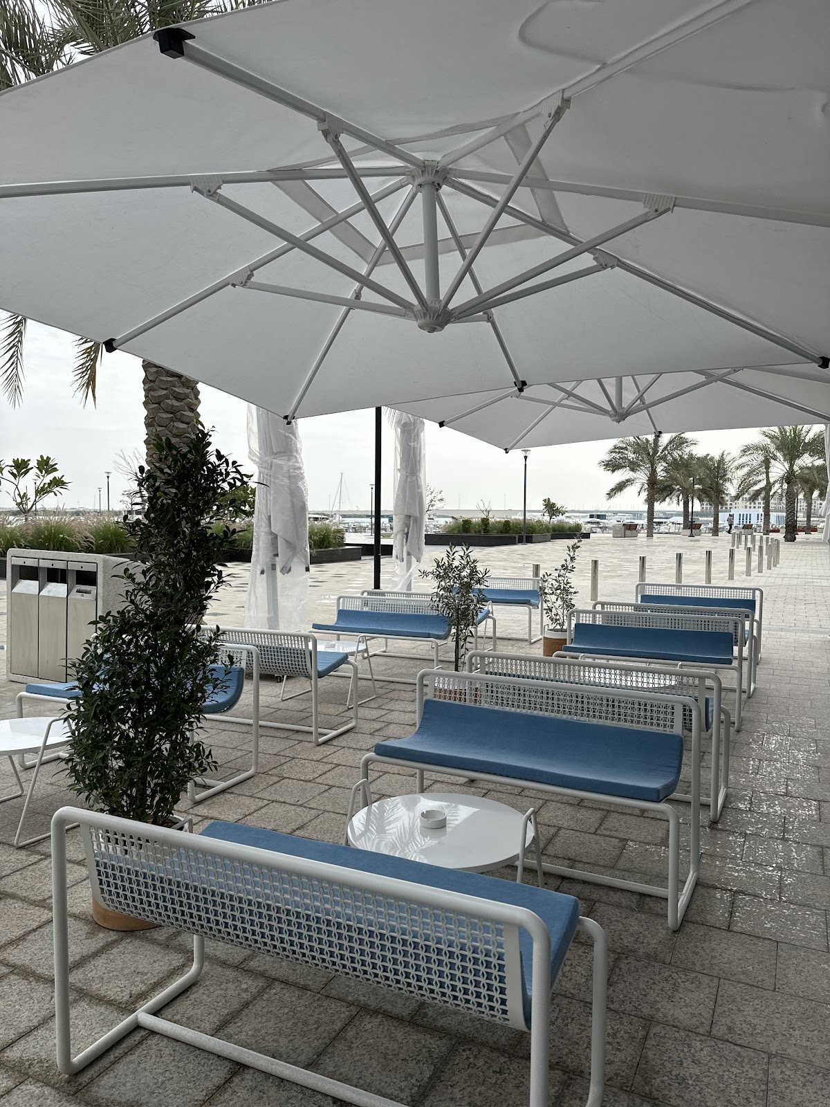 % Arabica Saadiyat