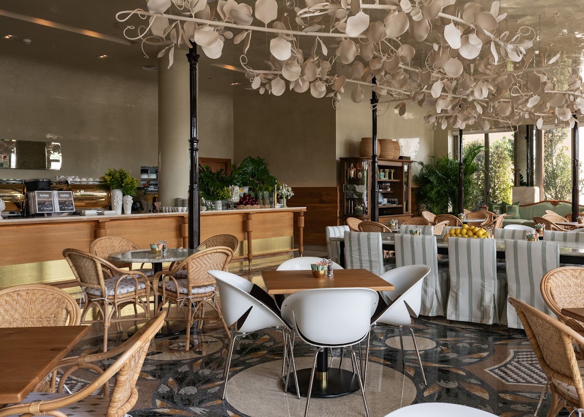 Tashas - Dubai