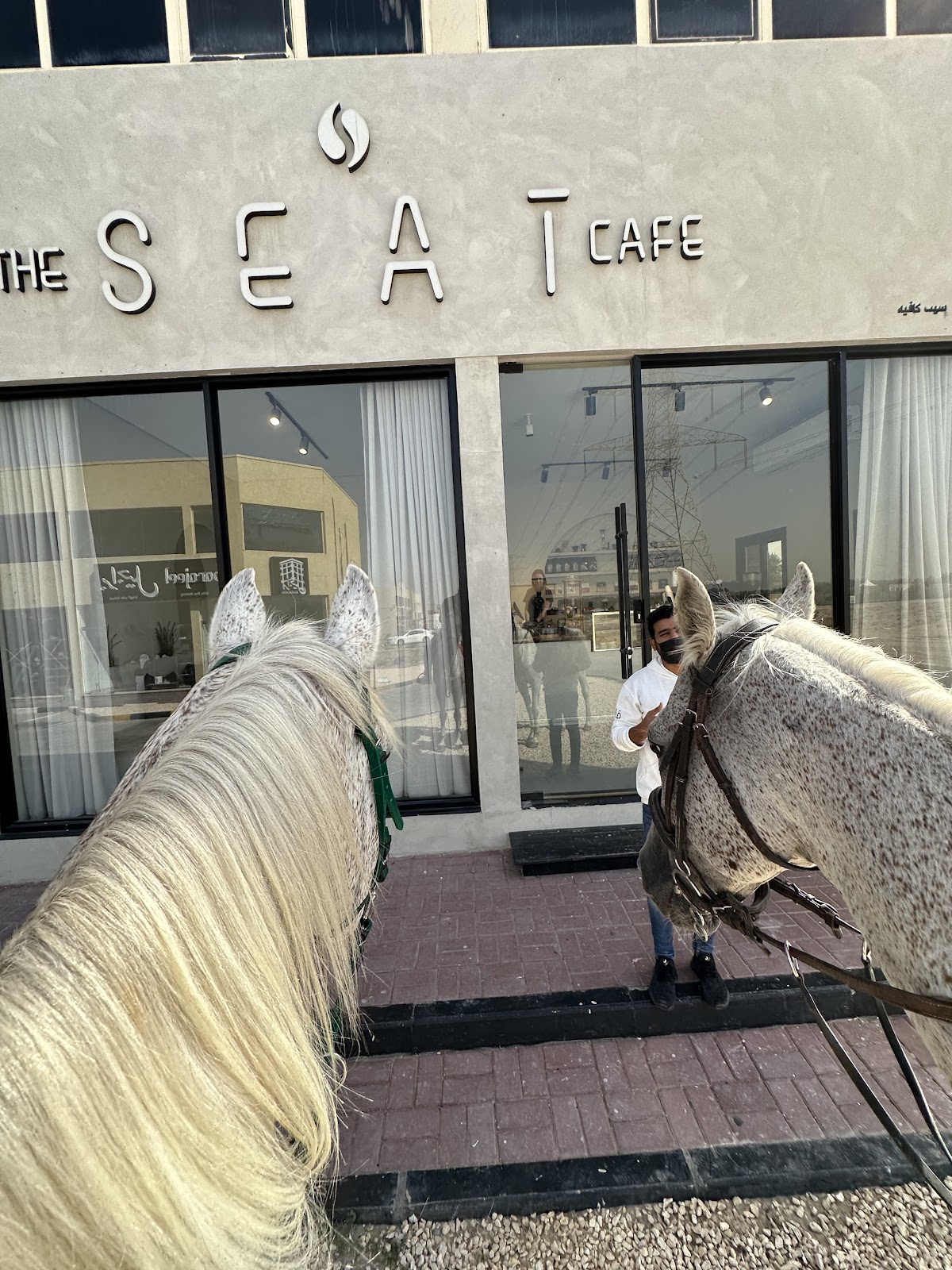 The seat cafe